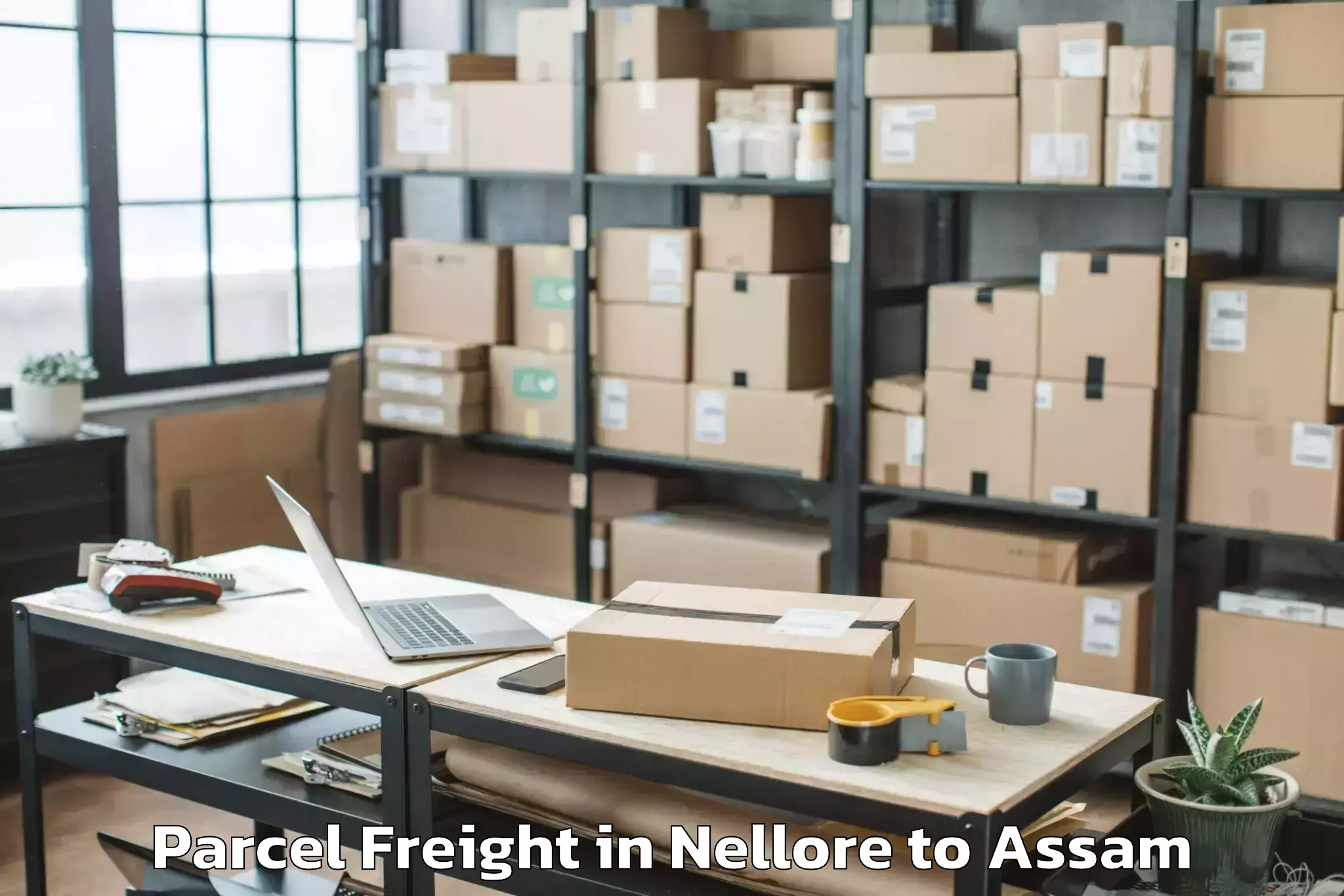 Expert Nellore to Bihpuria Parcel Freight